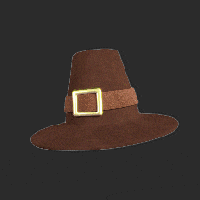 Cowboy Hat