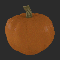 Pumpkin