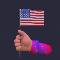 4th of July Elements