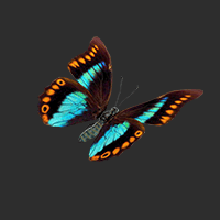 Free Animated Butterfly Stickers and Animated PNG | LightX